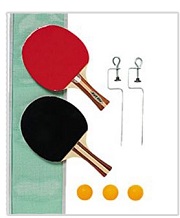 دانلود بازی تنیس روی میز به نام Table Tennis